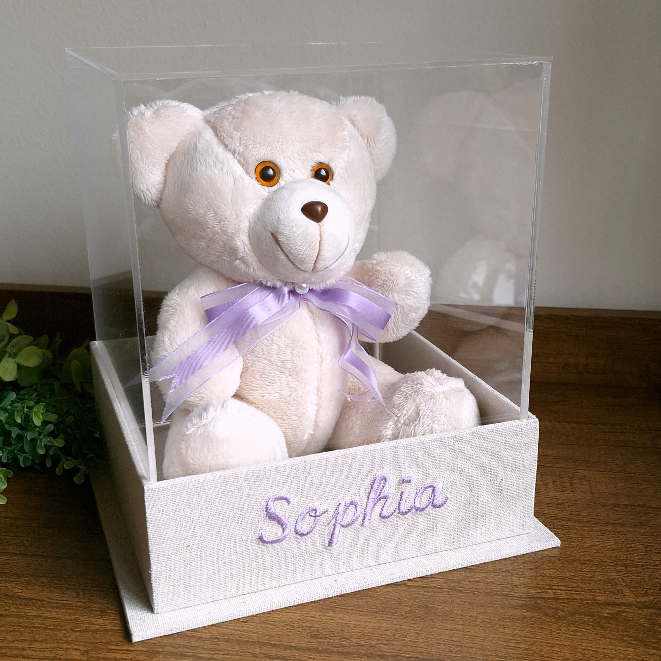 Home 10 Caixa para pagem e daminha com urso e tampa alta em acrílico